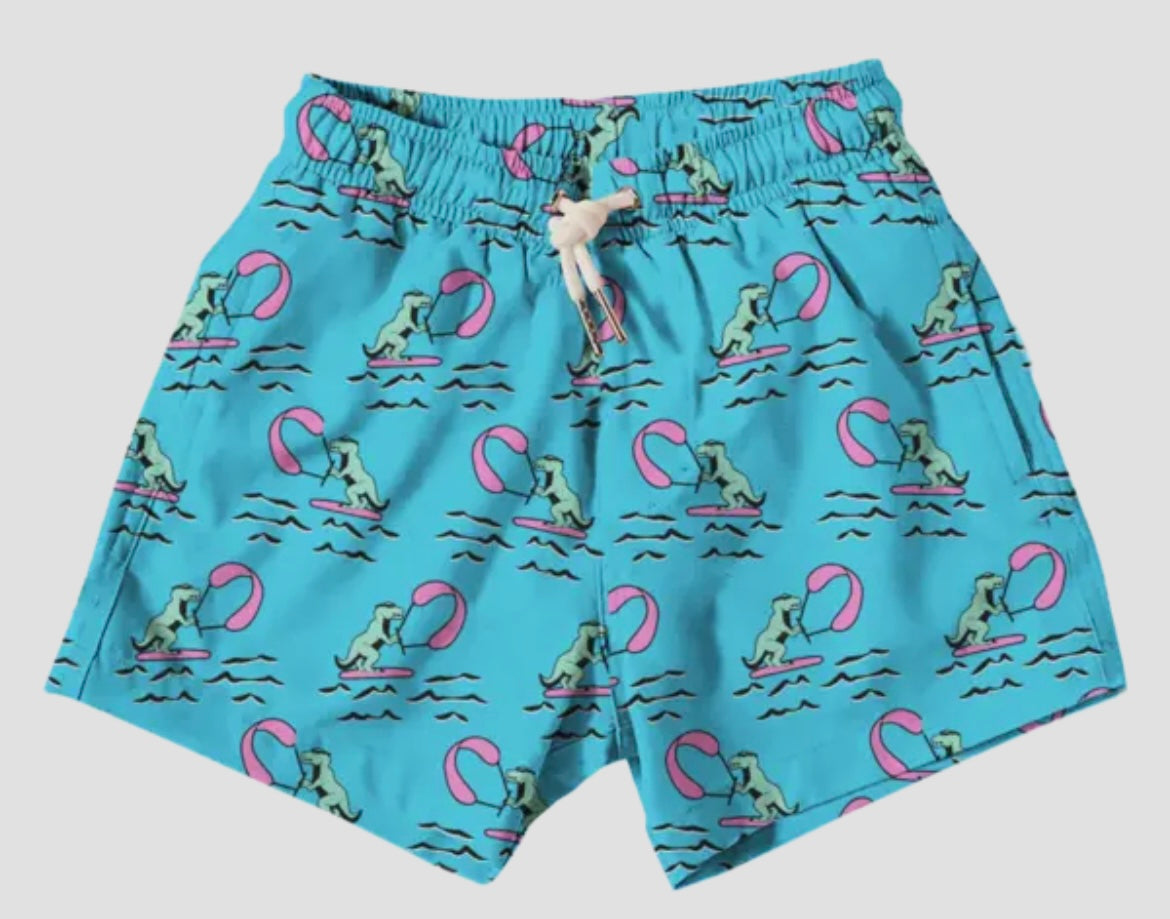 Boys Jurassic Surfer - Matching